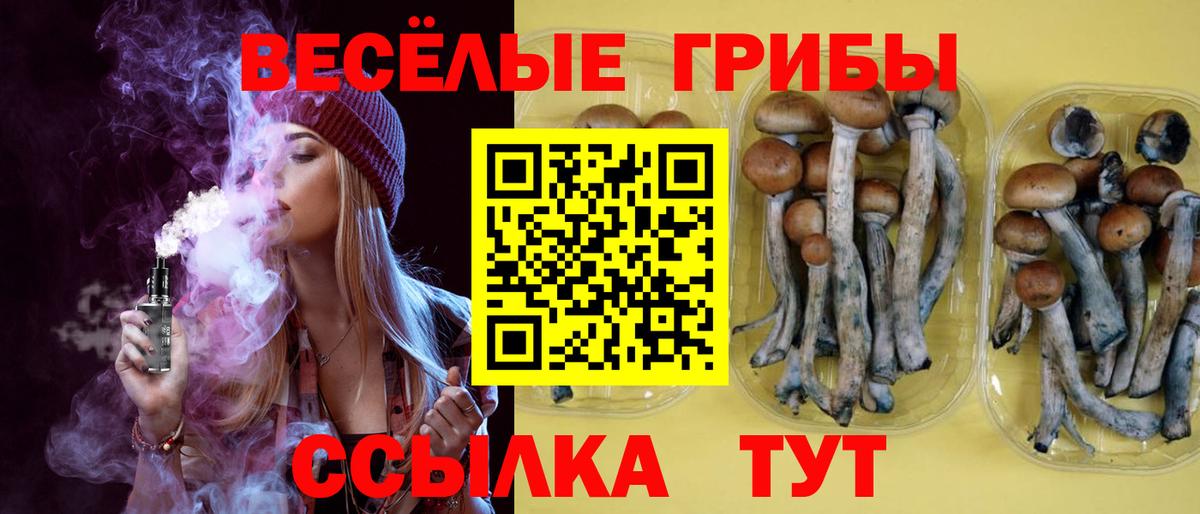 Самара  Галлюциногенные грибы ЛСД  Псилоцибиновые грибы мухоморы  Вход с VPN 