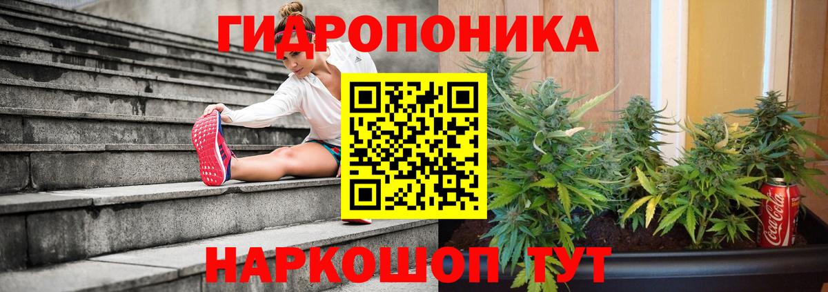 Канабис AK-47  Вход с VPN  Бошки марихуана AK-47  Канабис Amnesia  Конопля ГИДРОПОН  Самара 